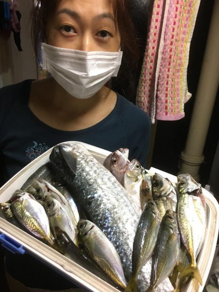 今日は、昨日より風強いいいい＾＾＾